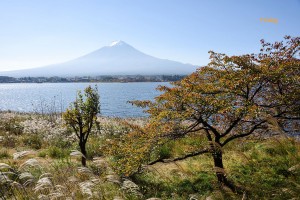 １０月の富士山