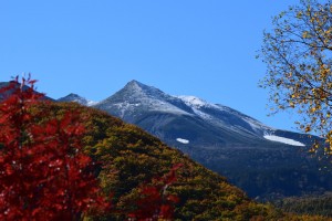 初冠雪