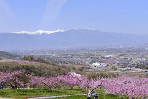 桃源郷ピクスタ購入