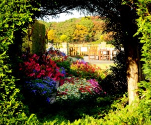 白い雲さん　トンネルから見える花壇