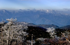 霧氷の大台ケ原