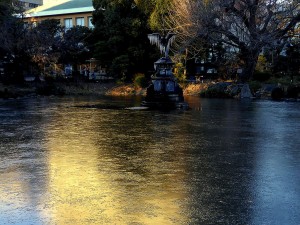 凍結した鶴の噴水池