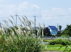 田園