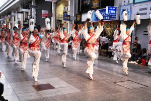 よさこい祭り　フォトライブラリー