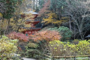 岩船寺 (2)