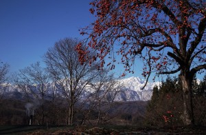 朝の輝き