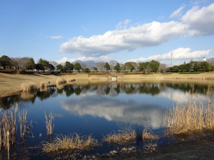 穏やかな良い年でありますよう