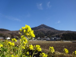 春が来た