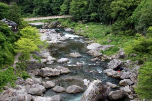 新緑の御嶽渓谷②