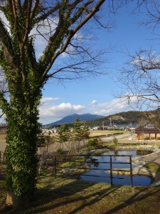 城跡から筑波山を望む