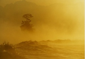 雨晴海岸5