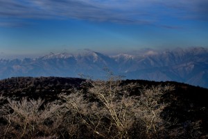 霧氷の大台ケ原 (3)