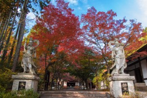 呑山観音寺の紅葉